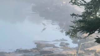 Mystic Maine Morning - A Harpist Walk To The Causeway By Angela Smith Scoles