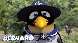 Bernard Bear Boy Scout And More 30 Min Compilation Cartoons For Children