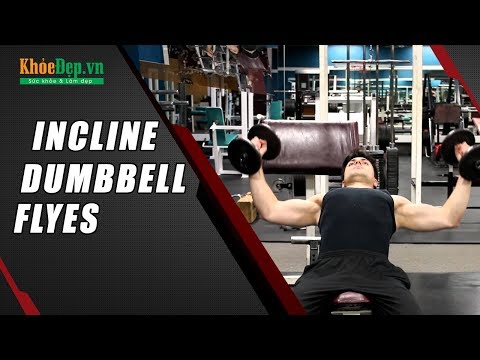 Bài tập ngực trong | #14 Incline Dumbbell Flyes với tạ đôi | KhoeDep.vn