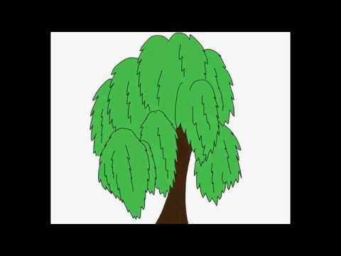 Как рисовать иву ребенку Как рисовать иву ребенку