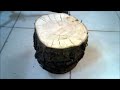 make a log slice wood art decor - woodworking
