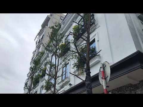 Bán Nhà Mặt Phố Quận Ba Đình 55m2 | Lô góc siêu hiếm giá sốc 10,5 Tỷ