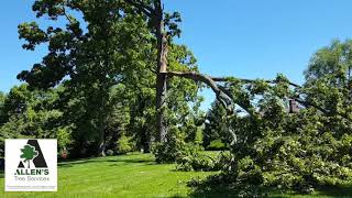 Allen's Tree Service - Storm Damage - Tree Service St. Louis