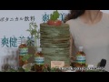 綾瀬はるか 健康ケーキ試食「ほっこり」トーク　「ボタニカル飲料」イベント（2）