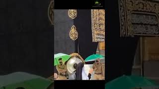 Viral Video Of Muslim Girl Kissing Hajr E Aswad Black Stone