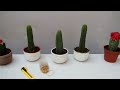 Resultados de los cactus injertos   2