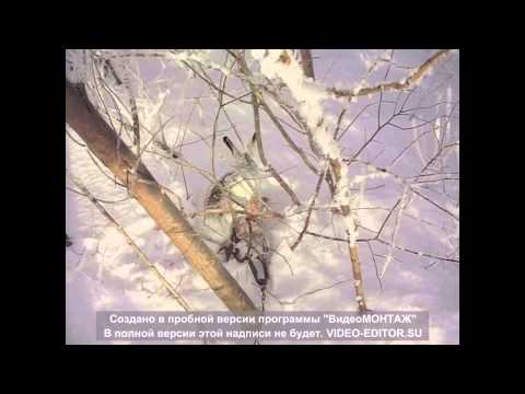 Куплю зимнюю резину в воронеже