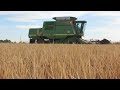 Final days for the 2012 rice harvest