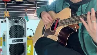 Justpro Jc-A1P Triple-System Acoustic Guitar Pickup