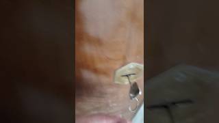 House Renovation Asmr