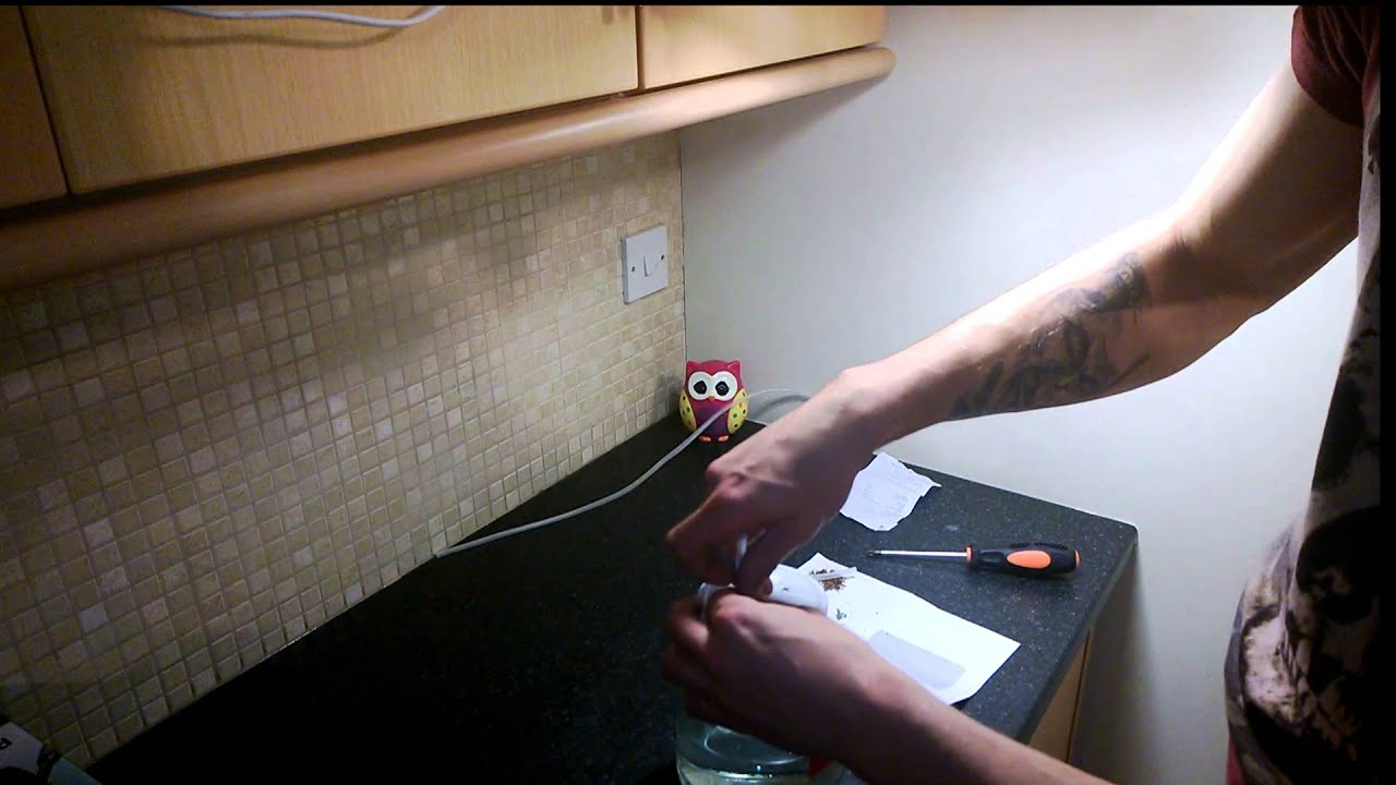 haleyissoarx haleyissoarx