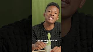 Comment Léradication Dun Cactus Dans Les Années 1920 Affecte-T-Elle Les Habitants De Madagascar...