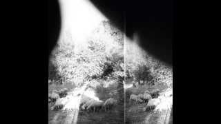 Watch Godspeed You Black Emperor Piss Crowns Are Trebled video