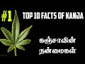 Top 10 Facts of #Kanja | Tamil | Benefit facts #Ganja #Weed #Cannabis #Marijuana