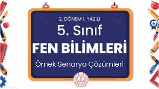 5. Sınıf Fen Bilimleri 2. Dönem 1. Yazılı Örnek Senaryo Çözümleri