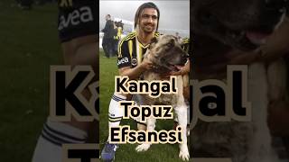 qetJE3eYhqg Video Image