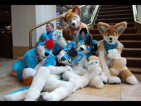 Would Ana Date A Furry? Would Ana Date A Furry? klip izle