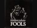 Immaculate Fools-Searching for Sparks