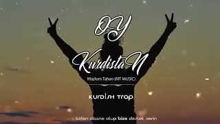 Oy Kürdi̇stan