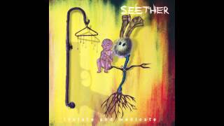 Watch Seether Nobody video