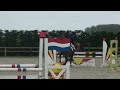 Idefix Van De Heffinck ( Cooper x Clinton x Libero H)