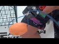 Crab