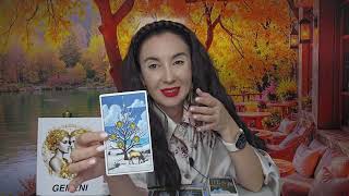 Tuesday October 21 New Moon - Pandoras Box And Relationships Daily Tarot Horoscope