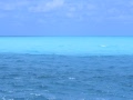 Marino Coppe - Blue ocean
