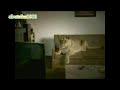 اسد ولبوة يشاهدان فلم جنس فما ردة فعلهما؟.wmv