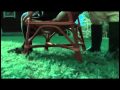 Download hairlook - 19 MP3 song and Music Video