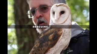 Watch Utopia Wildlife video