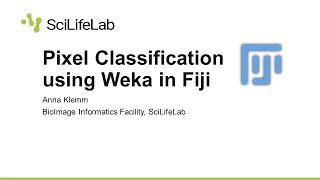 Pixel Classification using Weka in Fiji