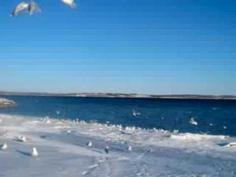 Love And Longing Video