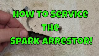 How To Service The Spark Arrestor Harbor Freight Predator 3500W Generator--A Quick Fix