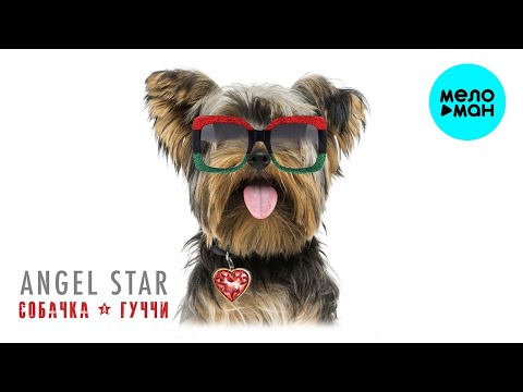 Angel Star - Собачка Гуччи Single