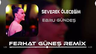 Ebru Gündeş - Bin Kere Gelsem Dünyaya ( Ferhat Güneş Remix )