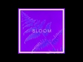 Bloom Video preview