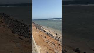 Every Step By The Water Clears The Mind