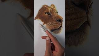 Mufasa The Lion King Drawing In Progress