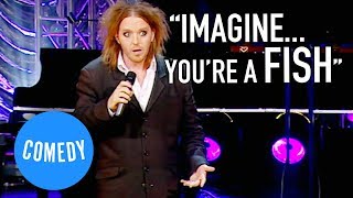 Watch Tim Minchin If You Open Your Mind Too Much Your Brain Will Fall Out take My Wife video