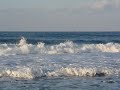 شاطى العرى