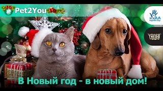 Снять коттедж хельсинки новый год Снять коттедж хельсинки новый год