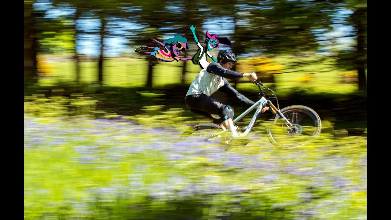 A Trip On The Bronson
