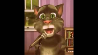 Gato Tom Feliz Pleaños