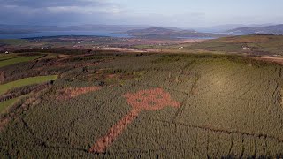 Hidden gem in Irish countryside - The Emery Celtic Cross at Killea, County Donegal - Ireland