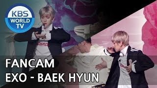[FOCUSED]EXO-CBX's BAEKHYUN - Blooming Day [Music Bank / 2018.04.13]