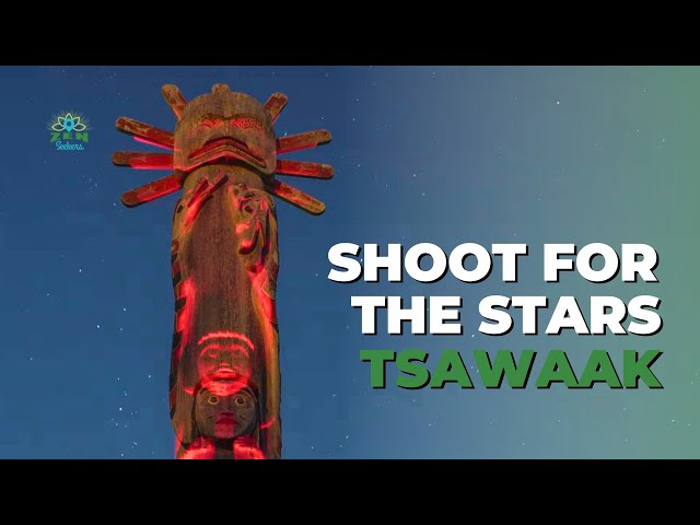 Watch Shoot for the stars, find Zen at Tsawaak on YouTube.