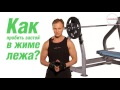 Эффективный тренинг (Владимир Молодов) Эффективный тренинг (Владимир Молодов)