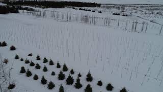 Video 4: Farm Overview