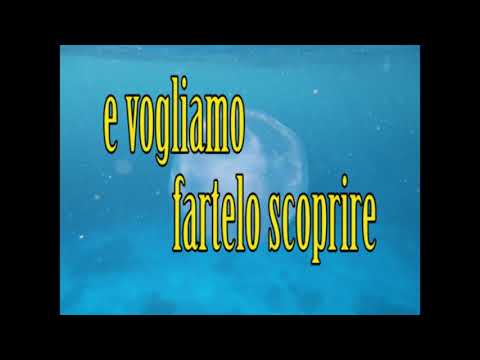 Perchè noi parte 5 Perchè noi parte 5
